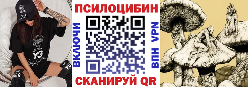 Псилоцибиновые грибы Psilocybine cubensis  Называевск 